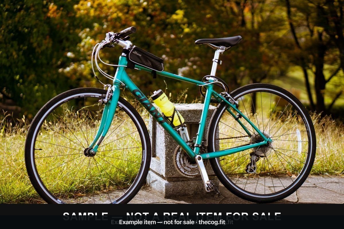Giant Hybrid Bike Hire — M
