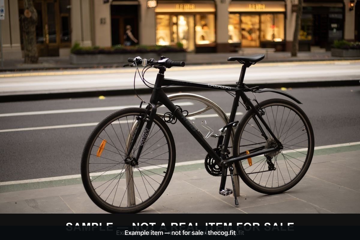 Flat-Bar Fitness Bike Hire — L