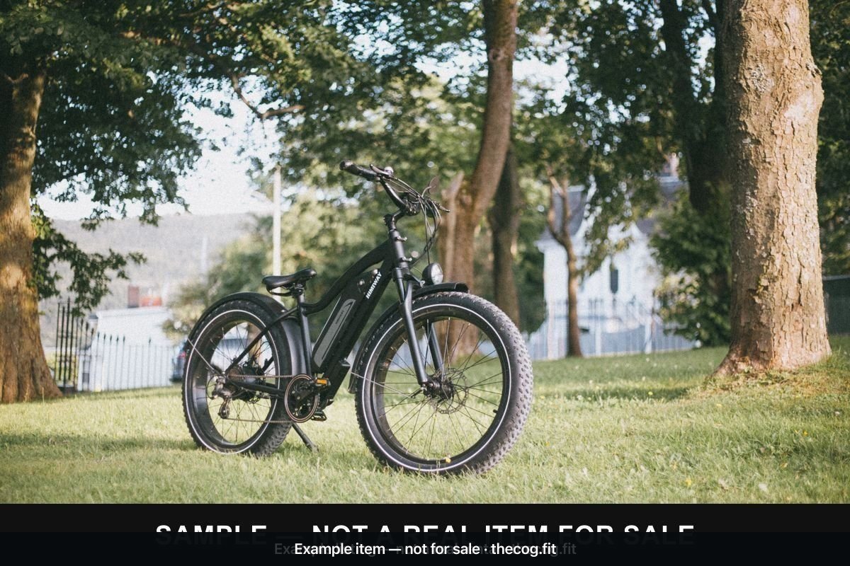 Himiway Electric Fat Bike — 250W, Large