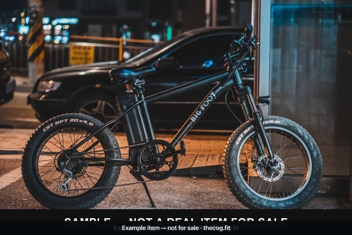 Fat-Tyre Electric Bike — 250W, Removable Battery