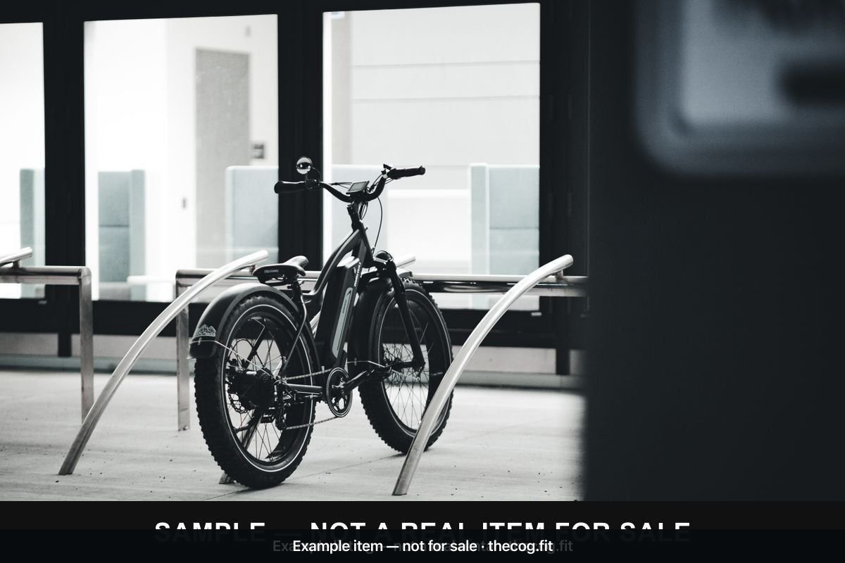 Electric Fat Bike — 250W, City & Trail