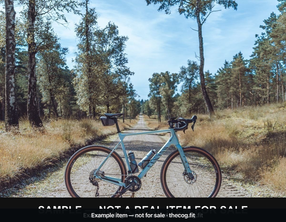 Gravel Bike — Shimano GRX, 54cm