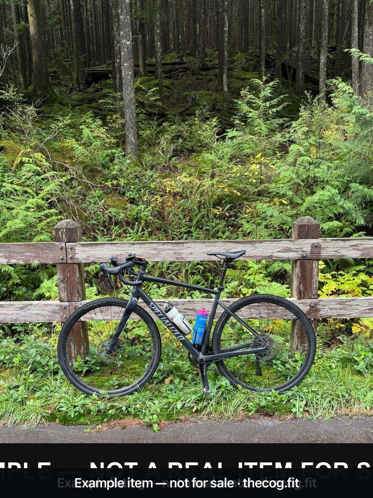 Carbon Gravel Bike — 1x Groupset, Large