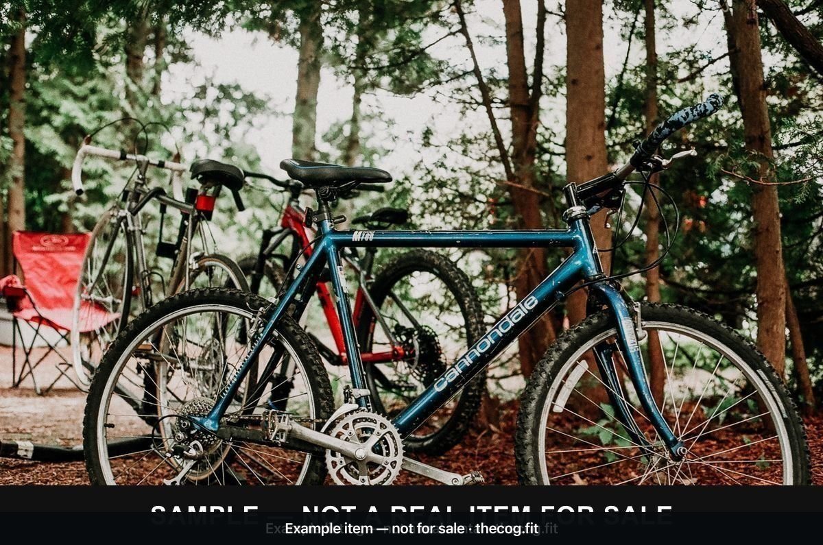 Cannondale Trail Hardtail Mountain Bike — Medium